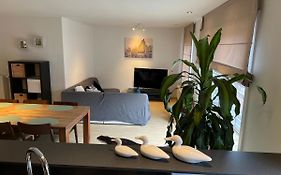 Duplex appartement Dujardin